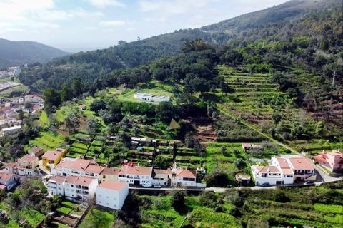 Helårsgrund i Monchique, Faro, Monchique - € 75.000 | Ref: RJ004 MO - foto 5