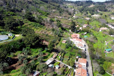 Helårsgrund i Monchique, Faro, Monchique - € 75.000 | Ref: RJ004 MO - foto 11