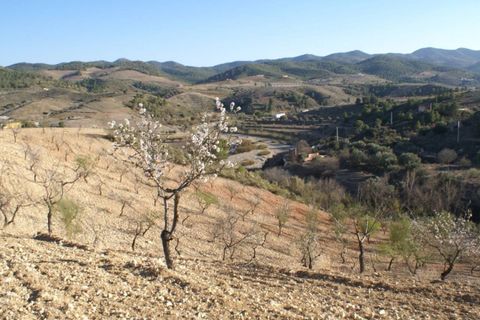 Helårsgrund i Murcia, Murcia, Murcia - € 30.000 | Ref: SLP720 - foto 2