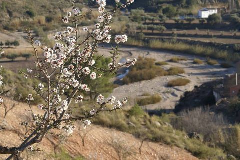 Helårsgrund i Murcia, Murcia, Murcia - € 30.000 | Ref: SLP720 - foto 3