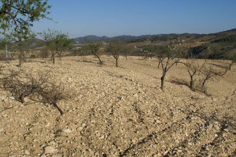 Helårsgrund i Murcia, Murcia, Murcia - € 30.000 | Ref: SLP720 - foto 4
