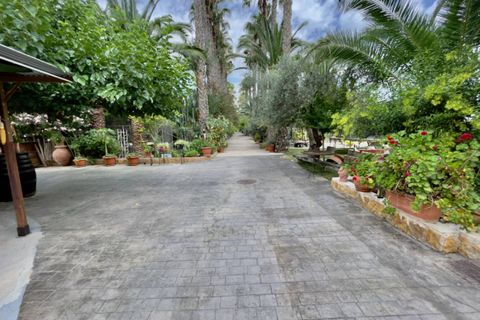 Finca i Orihuela, Alicante, Orihuela - € 1.300.000 | Ref: SLP2436 - foto 47