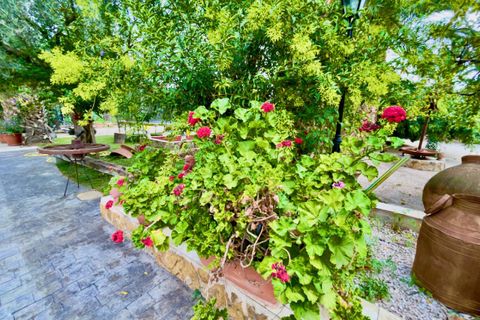 Finca i Orihuela, Alicante, Orihuela - € 1.300.000 | Ref: SLP2436 - foto 49
