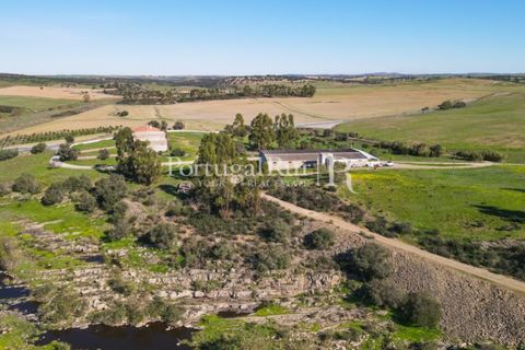Landejendom i Castro Verde, Beja, Castro Verde - € 545.000 | Ref: 261-4 - foto 4
