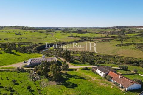 Landejendom i Castro Verde, Beja, Castro Verde - € 545.000 | Ref: 261-4 - foto 5