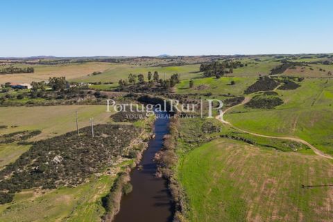 Landejendom i Castro Verde, Beja, Castro Verde - € 545.000 | Ref: 261-4 - foto 6