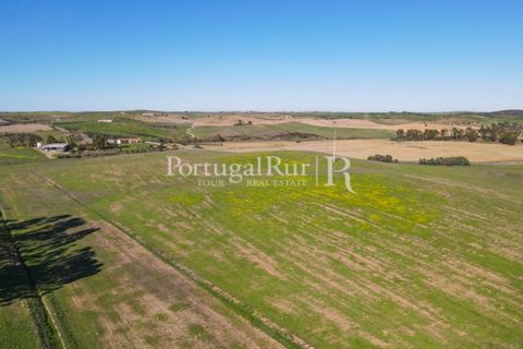 Landejendom i Castro Verde, Beja, Castro Verde - € 545.000 | Ref: 261-4 - foto 7