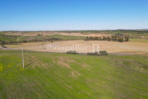 Landejendom i Castro Verde, Beja, Castro Verde - € 545.000 | Ref: 261-4 - foto 8