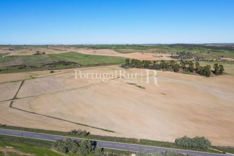 Landejendom i Castro Verde, Beja, Castro Verde - € 545.000 | Ref: 261-4 - foto 9