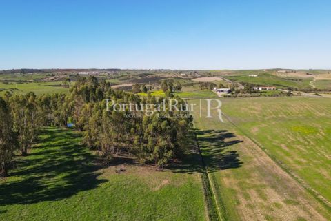 Landejendom i Castro Verde, Beja, Castro Verde - € 545.000 | Ref: 261-4 - foto 10