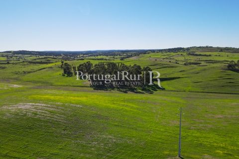 Landejendom i Castro Verde, Beja, Castro Verde - € 545.000 | Ref: 261-4 - foto 11