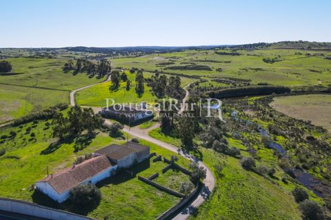 Landejendom i Castro Verde, Beja, Castro Verde - € 545.000 | Ref: 261-4 - foto 3