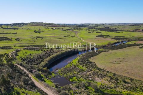 Landejendom i Castro Verde, Beja, Castro Verde - € 545.000 | Ref: 261-4 - foto 12