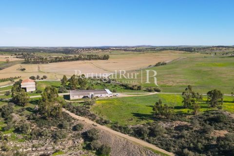 Landejendom i Castro Verde, Beja, Castro Verde - € 545.000 | Ref: 261-4 - foto 13