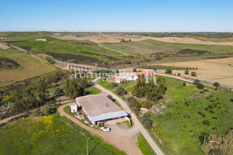 Landejendom i Castro Verde, Beja, Castro Verde - € 545.000 | Ref: 261-4 - foto 14
