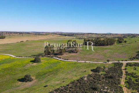 Landejendom i Castro Verde, Beja, Castro Verde - € 545.000 | Ref: 261-4 - foto 16