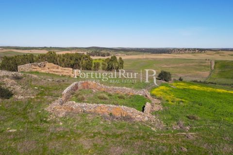 Landejendom i Castro Verde, Beja, Castro Verde - € 545.000 | Ref: 261-4 - foto 17