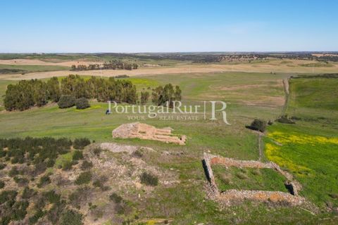 Landejendom i Castro Verde, Beja, Castro Verde - € 545.000 | Ref: 261-4 - foto 18