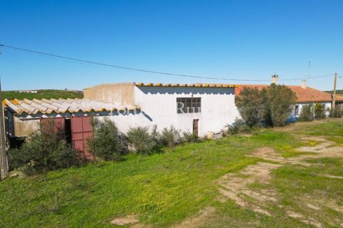 Landejendom i Castro Verde, Beja, Castro Verde - € 545.000 | Ref: 261-4 - foto 19