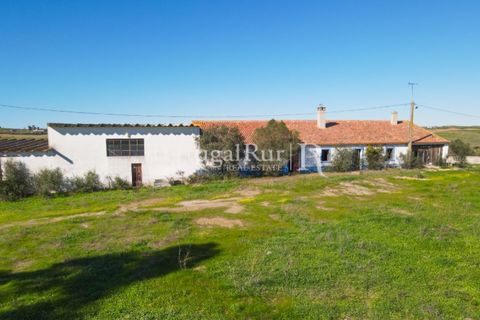 Landejendom i Castro Verde, Beja, Castro Verde - € 545.000 | Ref: 261-4 - foto 20