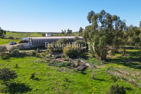 Landejendom i Castro Verde, Beja, Castro Verde - € 545.000 | Ref: 261-4 - foto 21