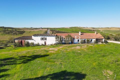 Landejendom i Castro Verde, Beja, Castro Verde - € 545.000 | Ref: 261-4 - foto 2