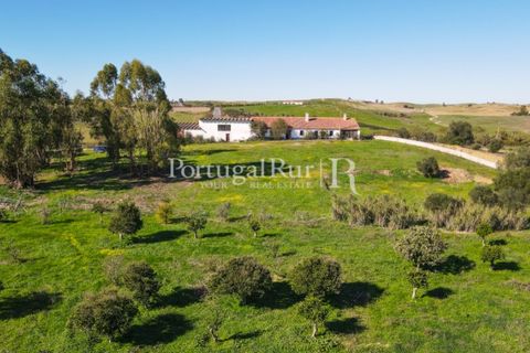 Landejendom i Castro Verde, Beja, Castro Verde - € 545.000 | Ref: 261-4 - foto 22