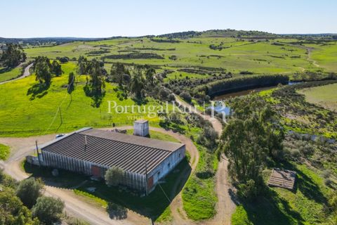 Landejendom i Castro Verde, Beja, Castro Verde - € 545.000 | Ref: 261-4 - foto 23