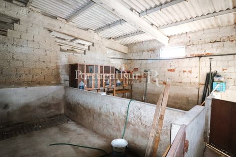 Landejendom i Castro Verde, Beja, Castro Verde - € 545.000 | Ref: 261-4 - foto 26