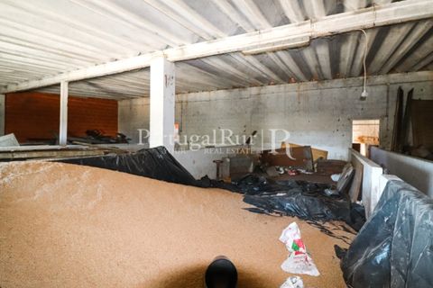 Landejendom i Castro Verde, Beja, Castro Verde - € 545.000 | Ref: 261-4 - foto 28