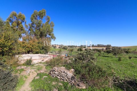 Landejendom i Castro Verde, Beja, Castro Verde - € 545.000 | Ref: 261-4 - foto 35