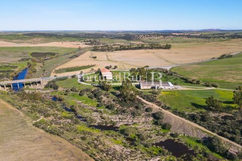 Landejendom i Castro Verde, Beja, Castro Verde - € 545.000 | Ref: 261-4 - foto 36