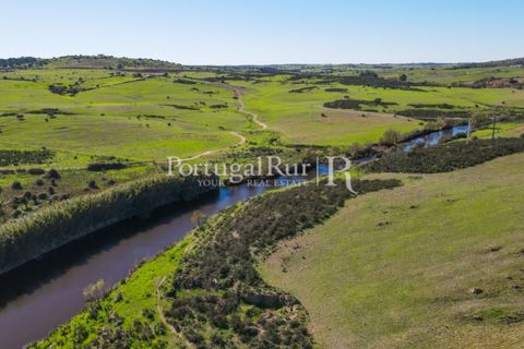Landejendom i Castro Verde, Beja, Castro Verde - € 545.000 | Ref: 261-4 - foto 37