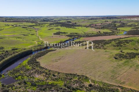 Landejendom i Castro Verde, Beja, Castro Verde - € 545.000 | Ref: 261-4 - foto 38