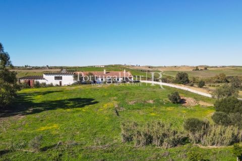 Landejendom i Castro Verde, Beja, Castro Verde - € 545.000 | Ref: 261-4 - foto 39