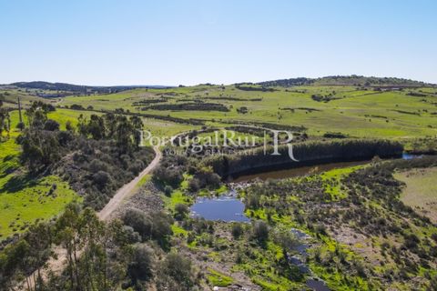 Landejendom i Castro Verde, Beja, Castro Verde - € 545.000 | Ref: 261-4 - foto 41