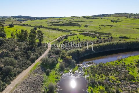 Landejendom i Castro Verde, Beja, Castro Verde - € 545.000 | Ref: 261-4 - foto 42