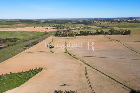 Landejendom i Castro Verde, Beja, Castro Verde - € 545.000 | Ref: 261-4 - foto 44