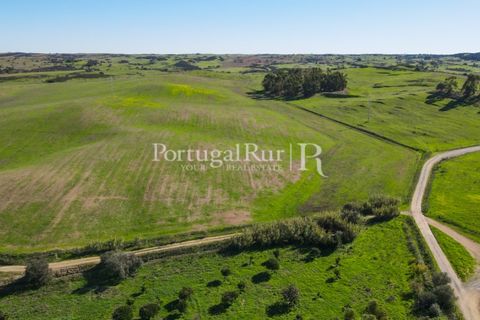 Landejendom i Castro Verde, Beja, Castro Verde - € 545.000 | Ref: 261-4 - foto 45