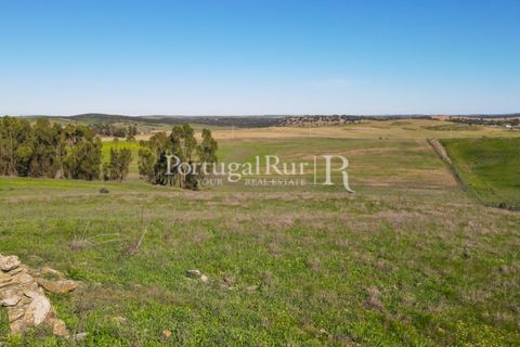 Landejendom i Castro Verde, Beja, Castro Verde - € 545.000 | Ref: 261-4 - foto 46