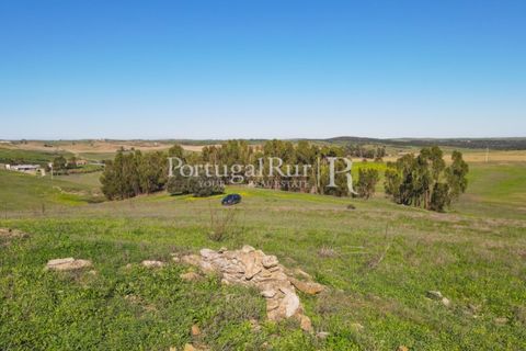 Landejendom i Castro Verde, Beja, Castro Verde - € 545.000 | Ref: 261-4 - foto 47
