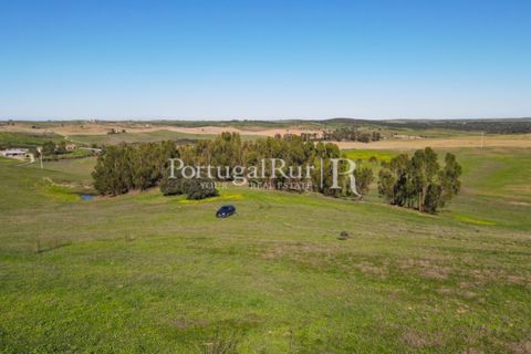 Landejendom i Castro Verde, Beja, Castro Verde - € 545.000 | Ref: 261-4 - foto 48