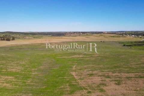 Landejendom i Castro Verde, Beja, Castro Verde - € 545.000 | Ref: 261-4 - foto 49