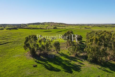 Landejendom i Castro Verde, Beja, Castro Verde - € 545.000 | Ref: 261-4 - foto 50