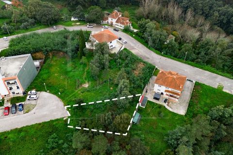 Terra a Mealhada, Aveiro, Mealhada - € 36.000 | Ref: LUX_CB-00365 - foto 3