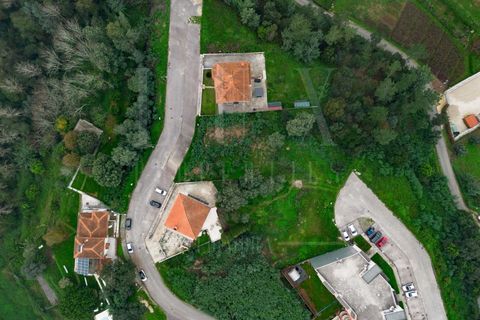 Terra a Mealhada, Aveiro, Mealhada - € 36.000 | Ref: LUX_CB-00365 - foto 8