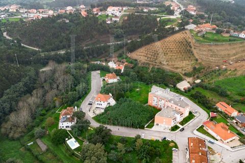Terra a Mealhada, Aveiro, Mealhada - € 36.000 | Ref: LUX_CB-00365 - foto 10
