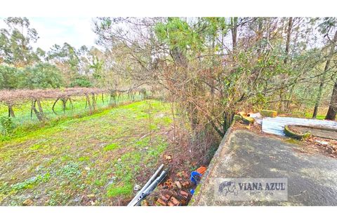 Villa i Viana do Castelo, Viana do Castelo, Viana do Castelo - € 379.000 | Ref: 2067 - foto 9