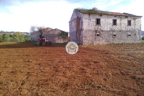 Byhus i Penacova, Coimbra, Penacova - € 55.000 | Ref: 1TC2962 - foto 2