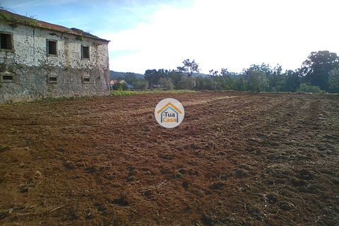 Byhus i Penacova, Coimbra, Penacova - € 55.000 | Ref: 1TC2962 - foto 4